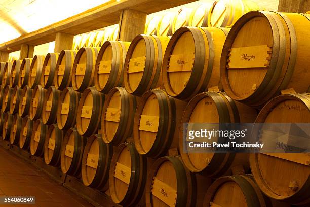 barrels of rioja wine, la rioja, spain - la rioja foto e immagini stock