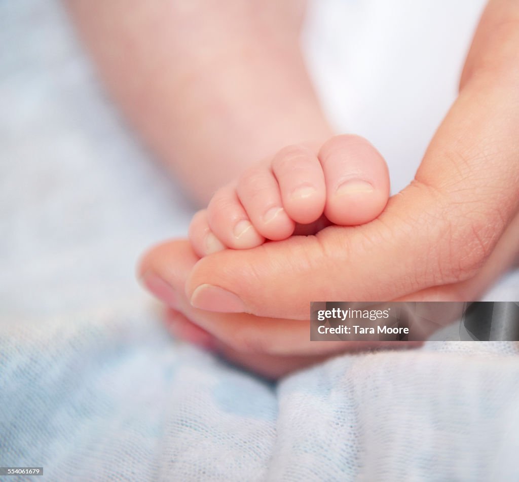 Close up of baby's foot and mother's hand