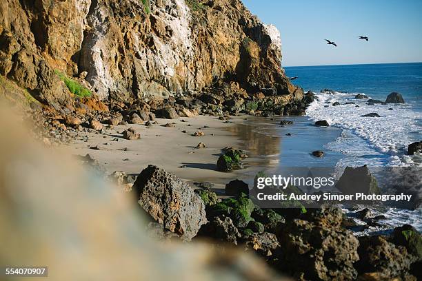private beach on pacific coast - zuma beach foto e immagini stock