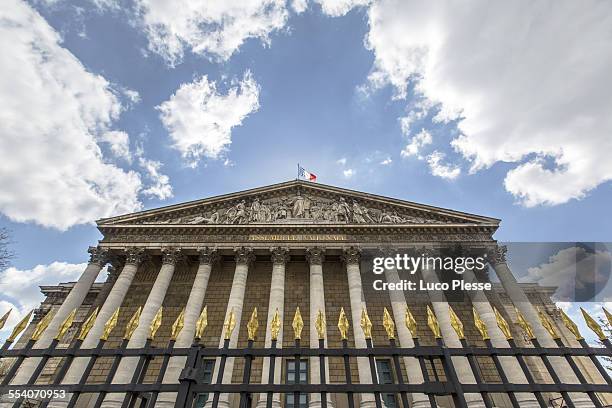 the national assembly - paris france - french national assembly stockfoto's en -beelden