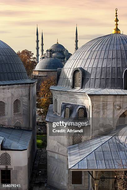 blue mosque - blue mosque stock pictures, royalty-free photos & images