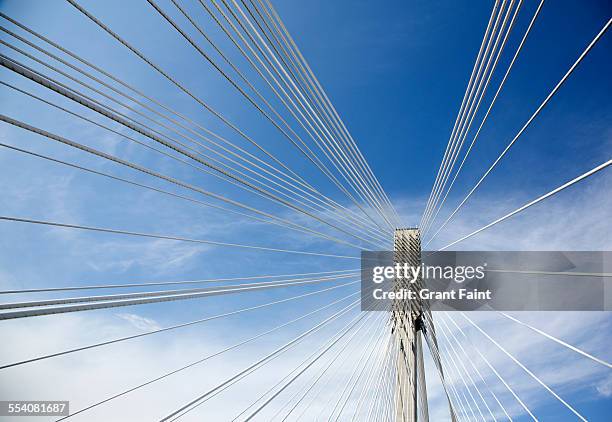 view of bridge cables - vancouver bridge stock pictures, royalty-free photos & images