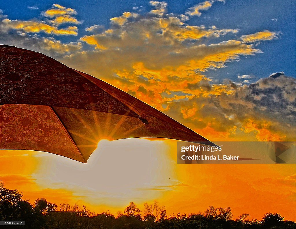 Catch Some Rays Catching Some Rays High-Res Stock Photo - Getty Images