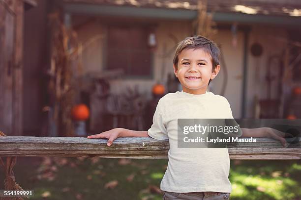 sunshine boy - farmhouse stock pictures, royalty-free photos & images