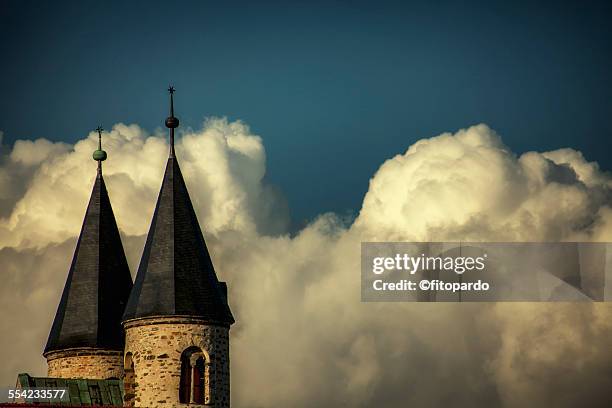 kunstmuseum kloster at magdeburg - goslar stockfoto's en -beelden