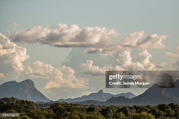 91 Ruvuma Stock Photos, High-Res Pictures, and Images - Getty Images