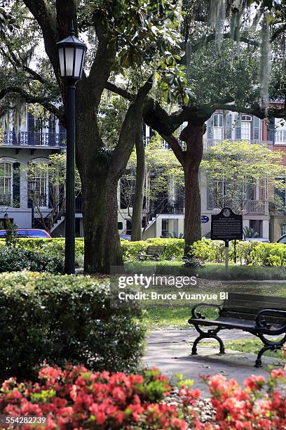 madison square - savannah imagens e fotografias de stock