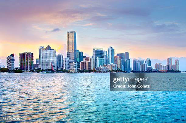 miami, florida - skyline 個照片及圖片檔