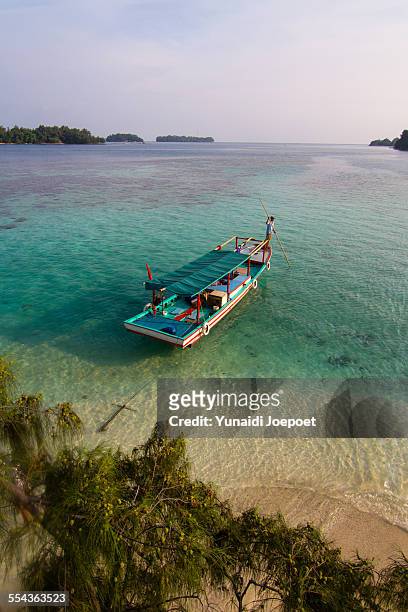 island of indonesia - jakarta stock pictures, royalty-free photos & images