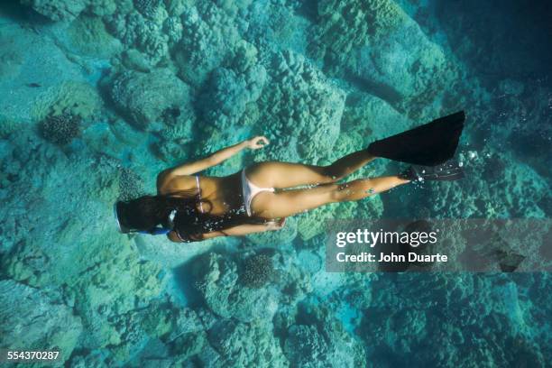 mixed race woman snorkeling near tropical reef - free diving stock pictures, royalty-free photos & images