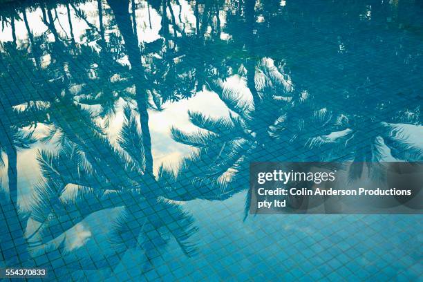 high angle view of palm trees reflecting in swimming pool - bali luxury stock pictures, royalty-free photos & images