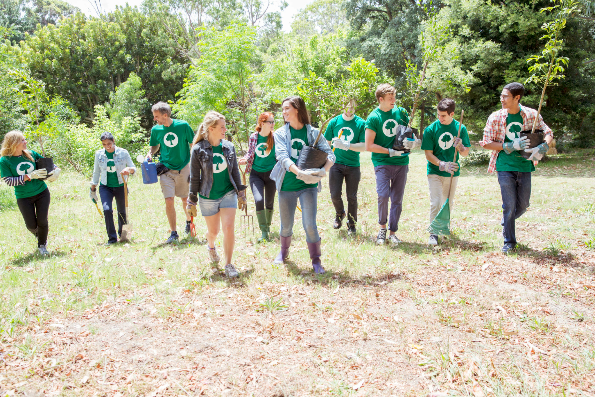 volunteer conservation Cape Town