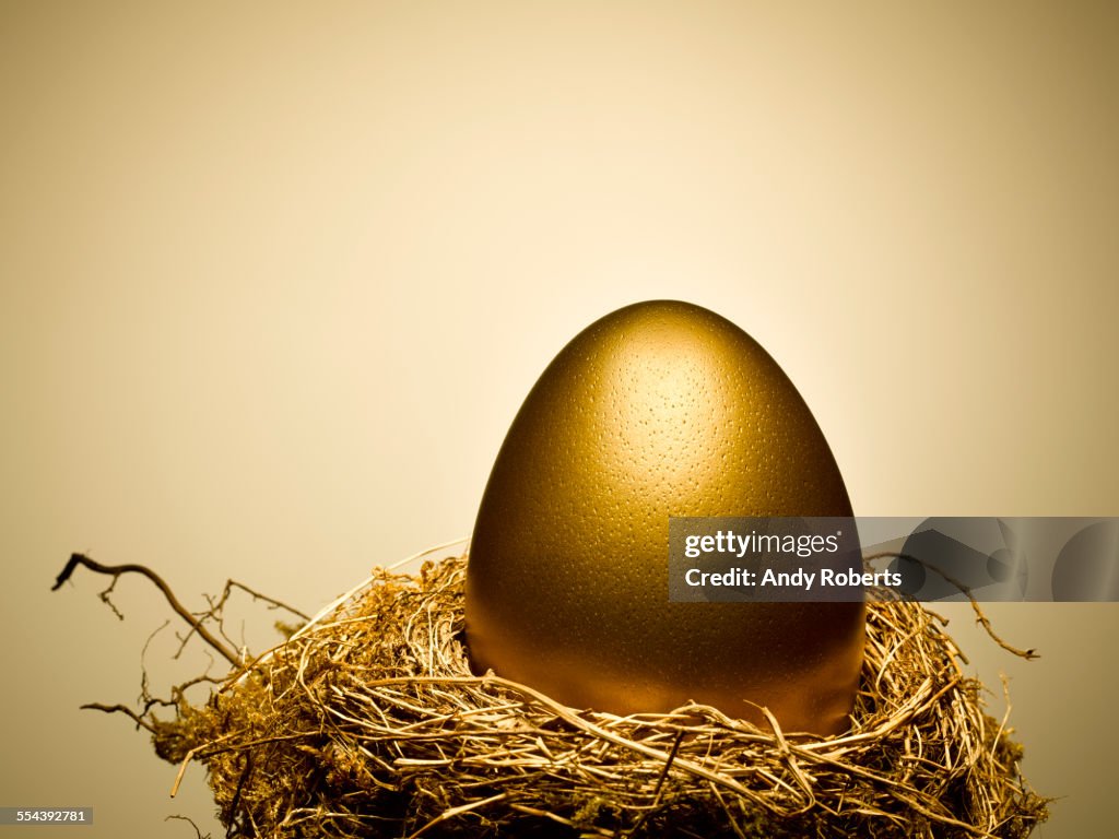Golden egg on gold nest still life