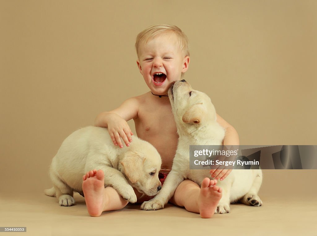 Child and puppies