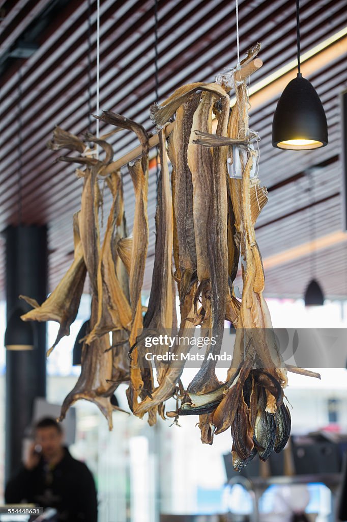 Dried cod, stockfish in Bergen Fishmarket