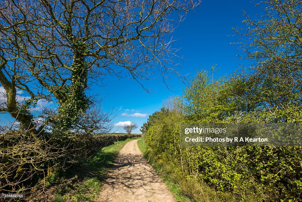 English country lane in spring