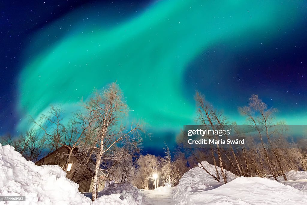 Huge aurora borealis, Abisko village, Lapland