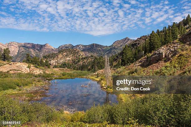 twin peaks wilderness, wasatch mountains, utah - wasatch mountains stock pictures, royalty-free photos & images