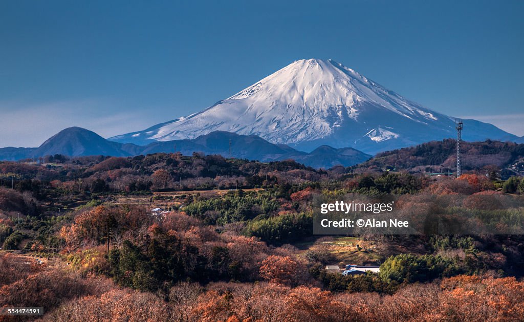 Mt Fuji