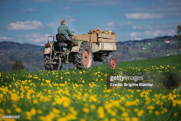 farmer on tractor with firewood - pawn chess piece stock-fotos und bilder