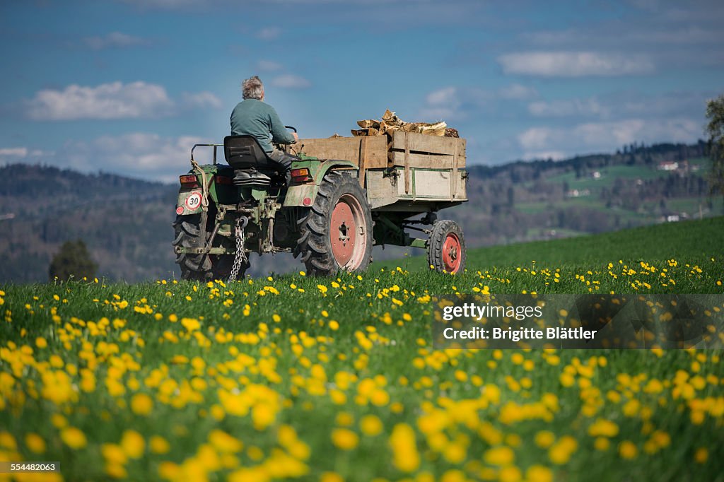 Farmer on tractor with firewood