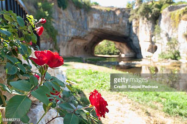 natural bridge - raquel rosa stock pictures, royalty-free photos & images