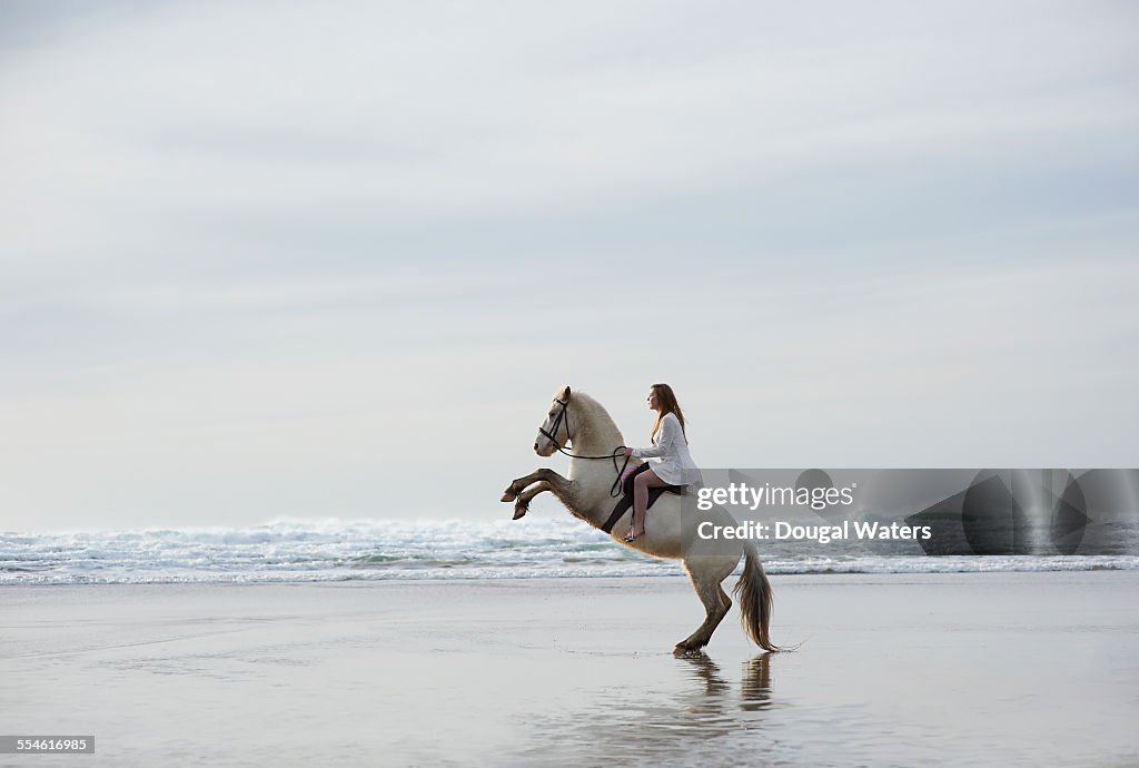 Profile of horse and rider rearing on beach