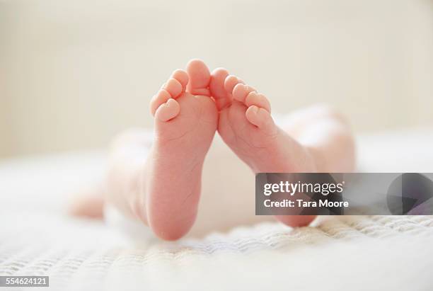 close up of baby's feet - baby feet stock-fotos und bilder
