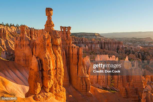 thor's hammer formation in bryce canyon - cheminée de fée photos et images de collection