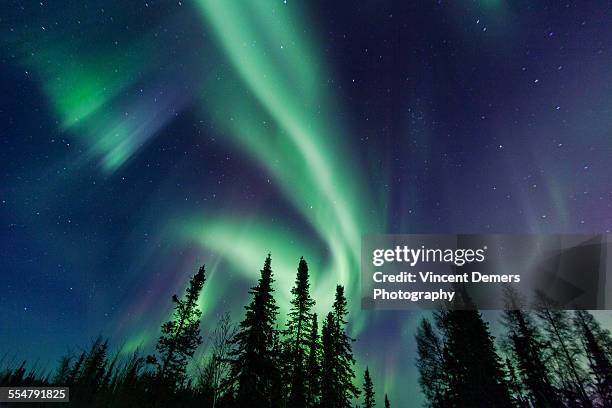 northern lights close to yellownife - yellowknife canada stockfoto's en -beelden