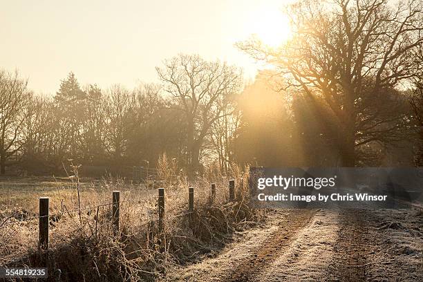 winter tracks - 2014 track field stock pictures, royalty-free photos & images