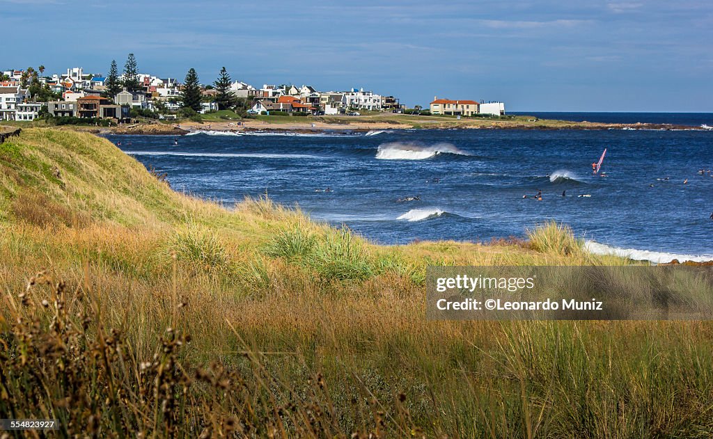 View of La Gorgorita beach, Punta del Este Uruguay