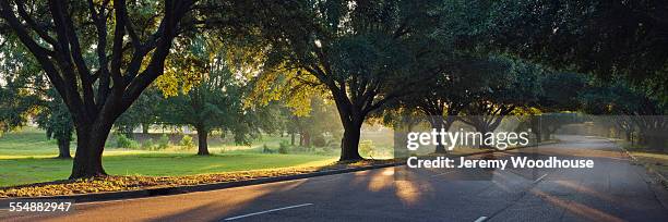 street near downtown jackson at sunrise - jackson mississippi stock pictures, royalty-free photos & images