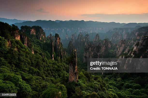 zhangjiajie national forest park, china - zhangjiajie national forest park stock pictures, royalty-free photos & images