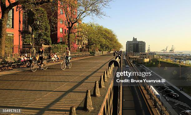 brooklyn heights promenade in spring - brooklyn heights stock pictures, royalty-free photos & images