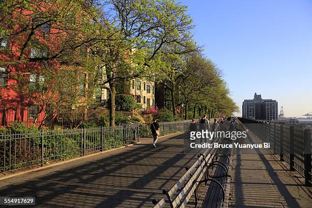brooklyn heights promenade - brooklyn heights stock pictures, royalty-free photos & images
