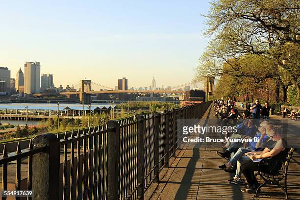 brooklyn heights promenade in spring - brooklyn heights stock pictures, royalty-free photos & images