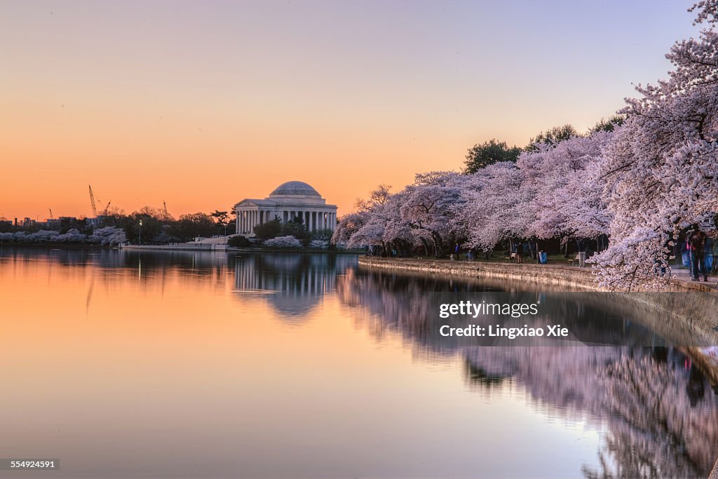 Jefferson Memorial sunrise