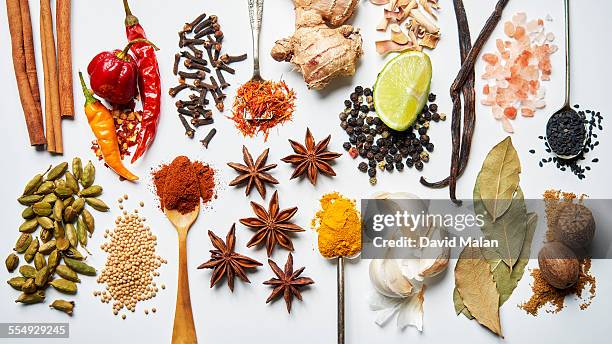 a selection of spices on a white background - spice fotografías e imágenes de stock