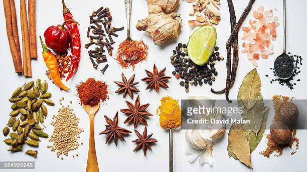 a selection of spices on a white background - spice stock pictures, royalty-free photos & images