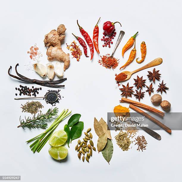 spice colour wheel - herbs and spices stock pictures, royalty-free photos & images