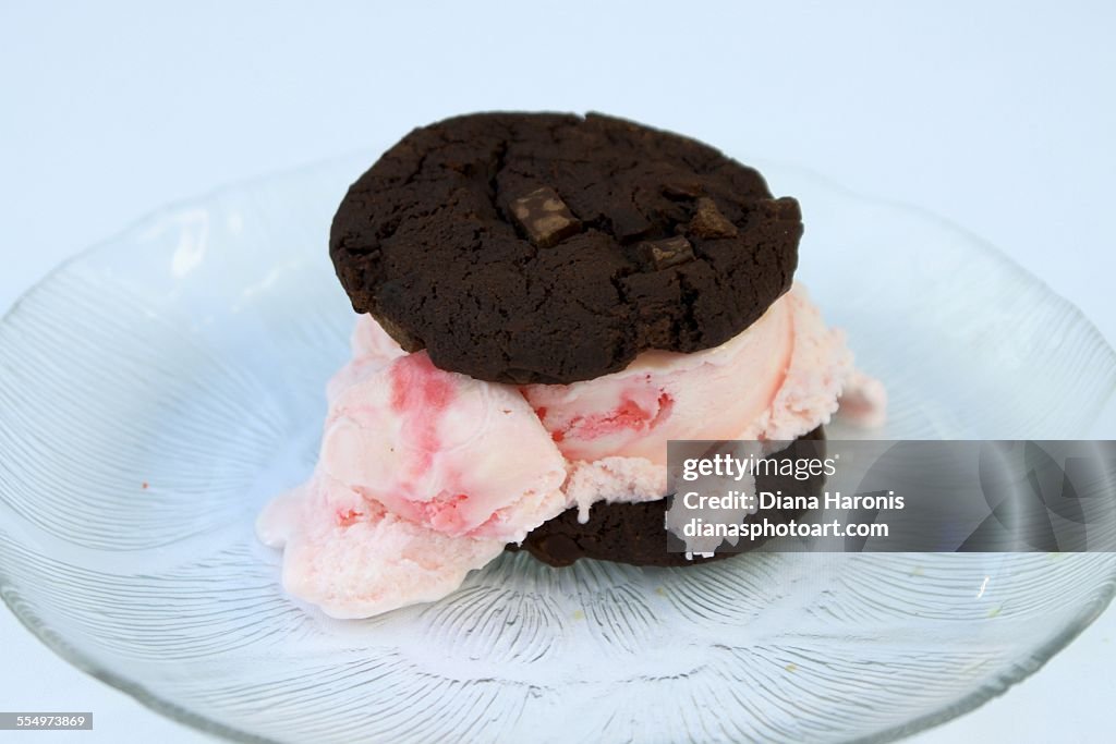Ice Cream Sandwich