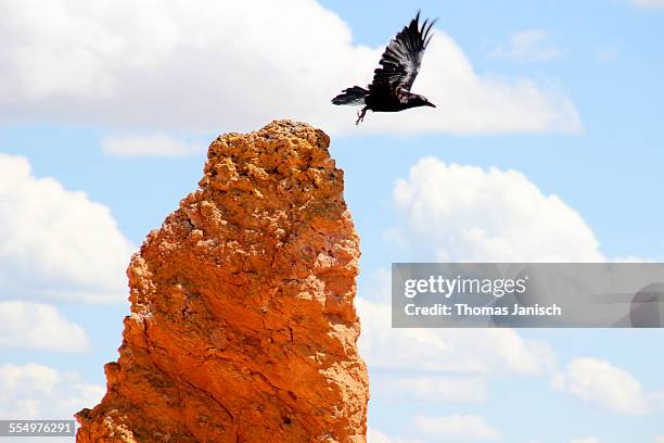 Raven Rocks (Rock Formation) Photos and Premium High Res Pictures ...