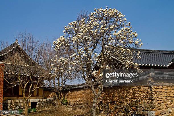andong hahoe village, gyeongju, south korea. - hahoe photos et images de collection