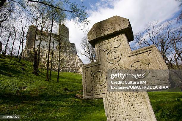 bran castle, brasov, romania, europe - bran castle stock pictures, royalty-free photos & images