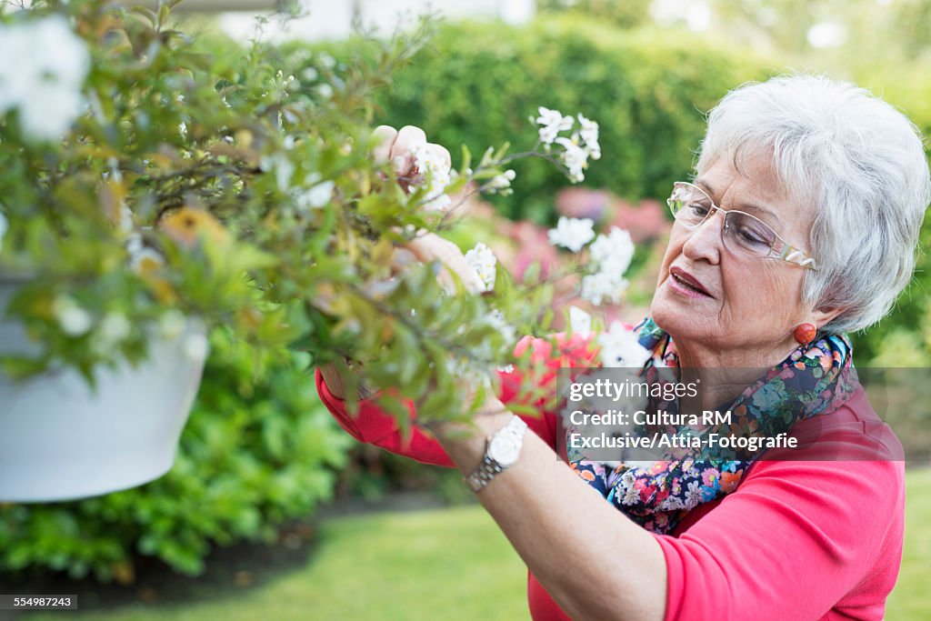 Senior woman tending plants in garden