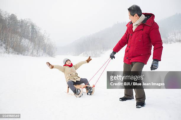 grandfather pulling grandson on sled - grandfather child snow winter stockfoto's en -beelden