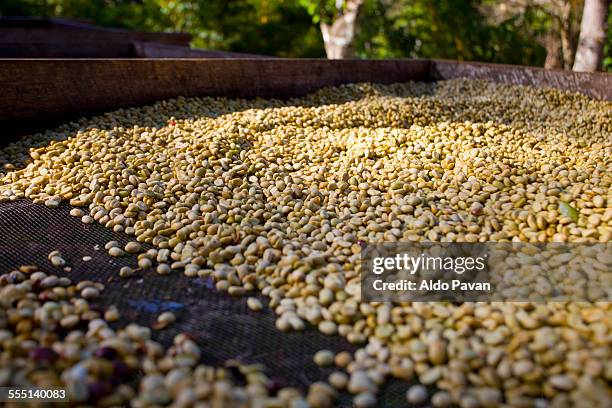 nicaragua, matagalpa, la escalera - trocknen stock-fotos und bilder