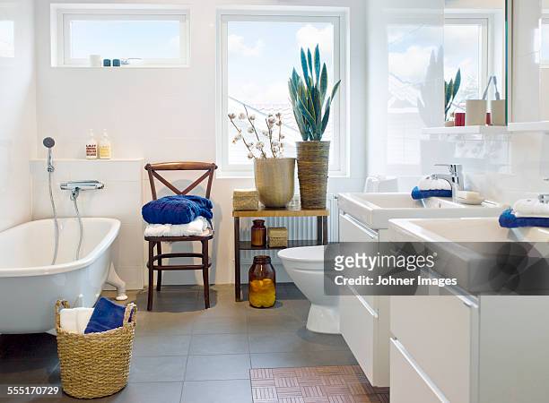 modern bathroom - bathroom pot plant stock pictures, royalty-free photos & images