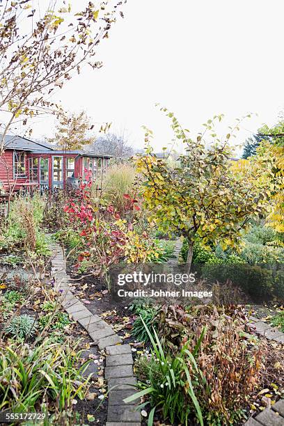 path in garden - dead garden stock pictures, royalty-free photos & images